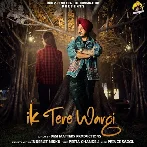 Ik Tere Wargi - Inderjit Nikku