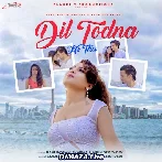 Dil Todna Hi Tha To Dil Se Lagaya Kyun