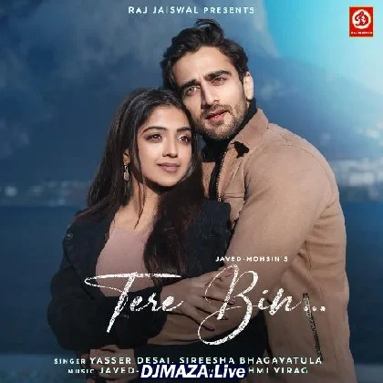 Tere Bin - Yasser Desai