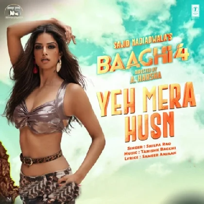 Yeh Mera Husnl - Baaghi 4