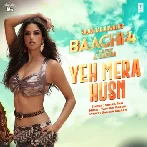 Yeh Mera Husnl - Baaghi 4