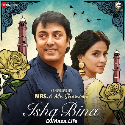 Ishq Bina - Zain Ali