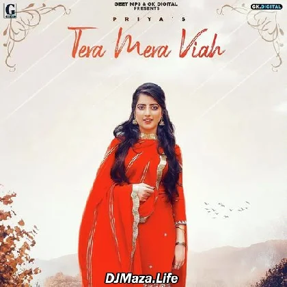 Tera Mera Viah - Priya