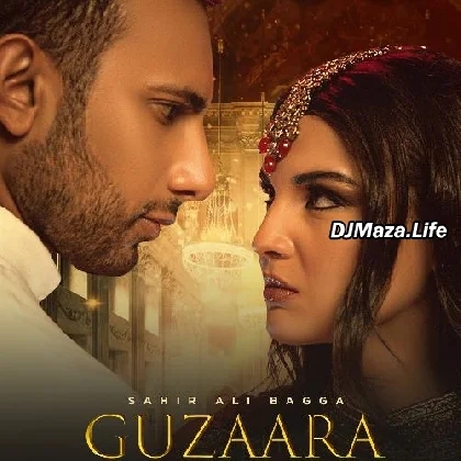 Guzaara - Sahir Ali Bagga