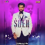 Sheh - Singga