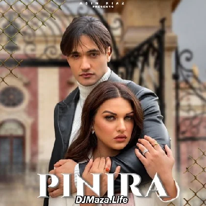 Pinjra - Asim Riaz