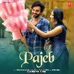 Pajeb - Priti Jangra