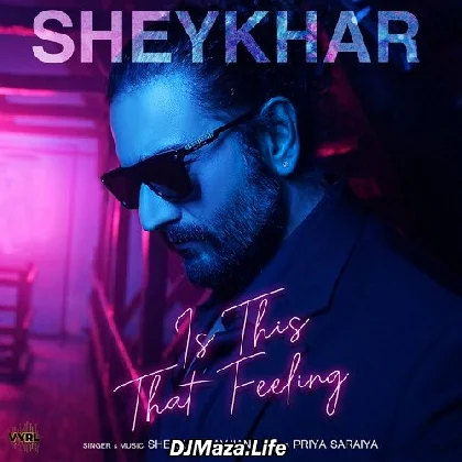 Is This That Feeling - Shekhar Ravjiani