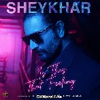 Is This That Feeling - Shekhar Ravjiani