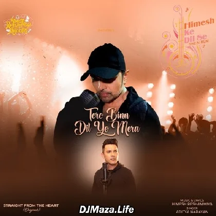 Tere Bin Dil Ye Mera - Aditya Narayan