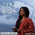 Tere Bina - Shreya Ghoshal