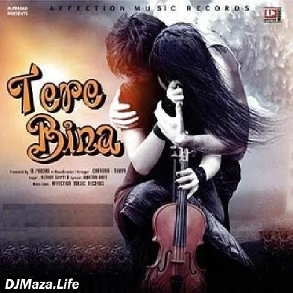 Tere Bina - Altaaf Sayyed