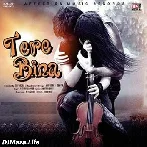 Tere Bina - Altaaf Sayyed