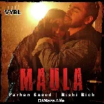 Maula - Farhan Saeed