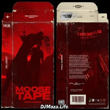 295 - Sidhu Moose Wala