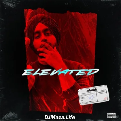 Elevated - Shubh