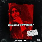 Elevated - Shubh