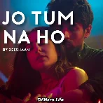 Jo Tum Na Ho