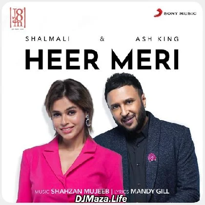 Heer Meri - Ash King