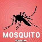 Mosquito Sound