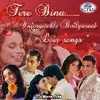Bin Tere Sanam