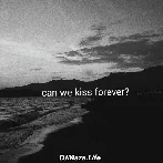 Can We Kiss Forever Instrumental