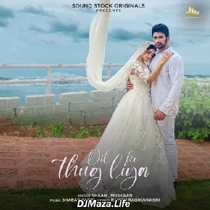 Dil Ko Thug Liya - Shaan