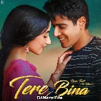 Tere Bina - Rahat Fateh Ali Khan
