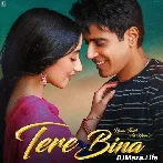 Tere Bina - Lover