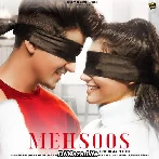 Mehsoos - Raj Barman