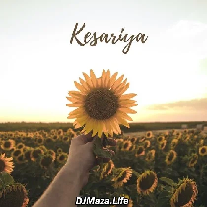 Kesariya (Cover) - Proyash